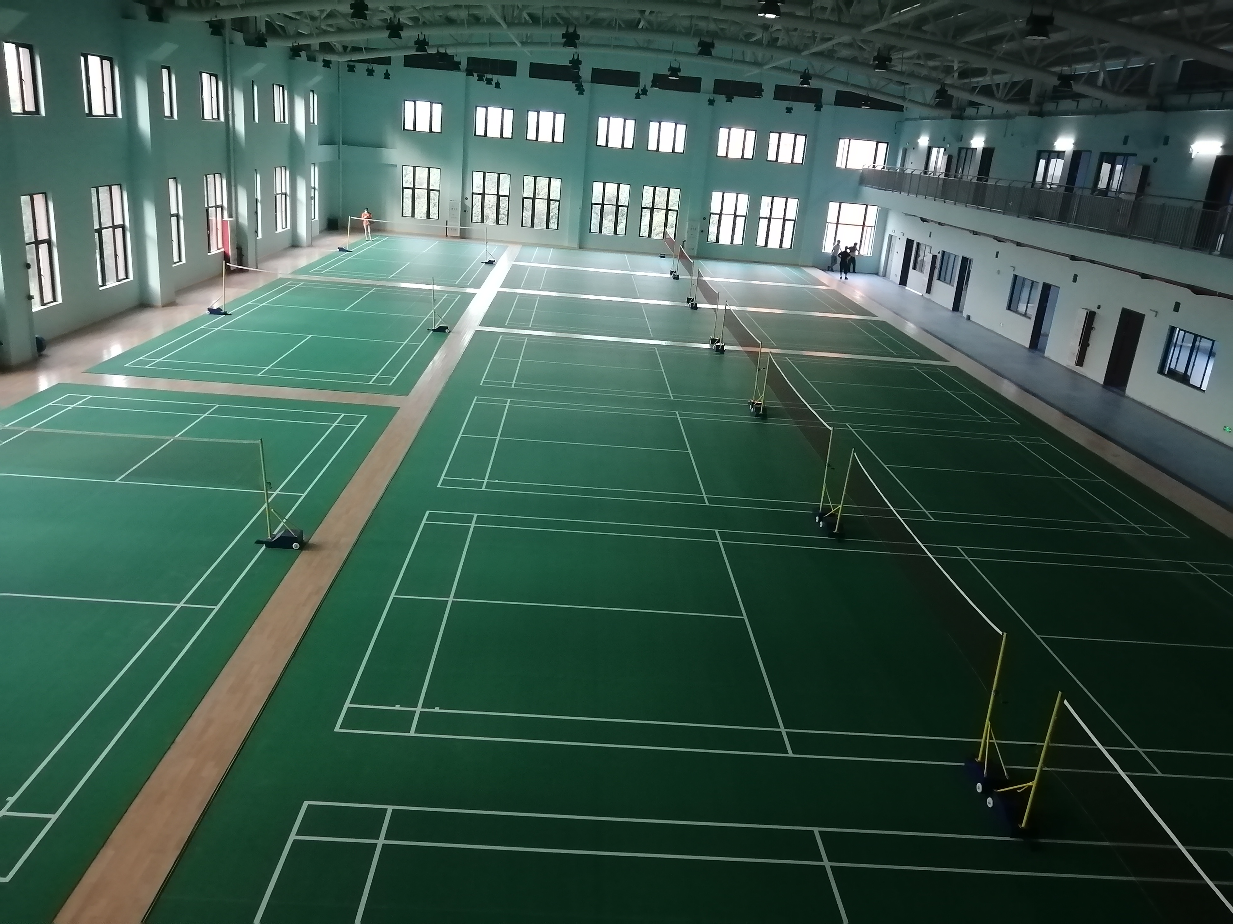 好色先生TV在线下载