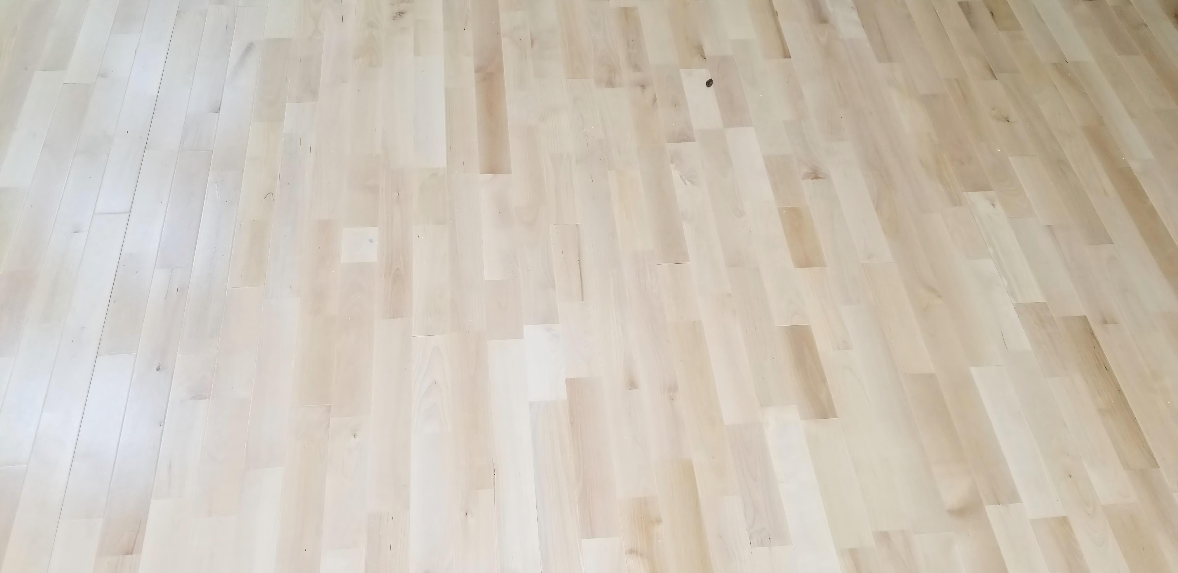 20191225_100731 (1)(1)